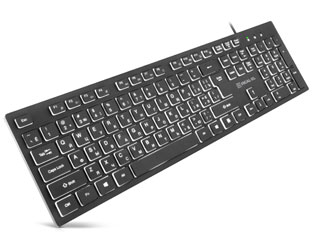 Keyboard membrane REAL-EL RK-7050